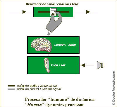 Human Dynamics Processor